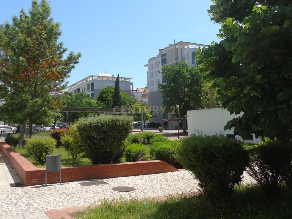 DSC09606