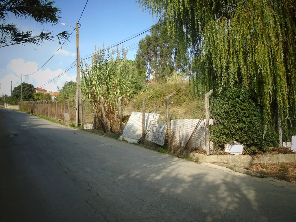 DSC09708