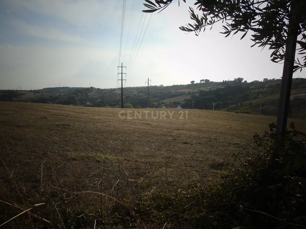 DSC09715
