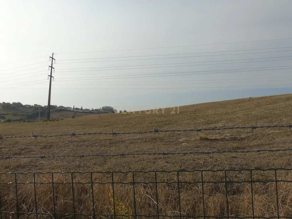 DSC09719