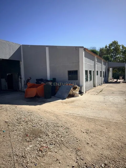 IMG0120